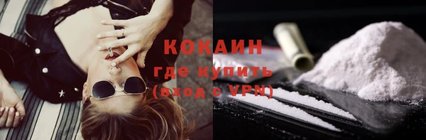 дмт Лабытнанги