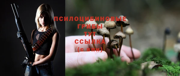 a pvp Лагань