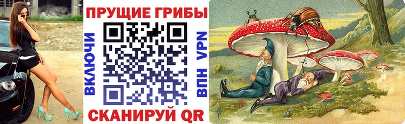 Купить закладки  Теберда  Псилоцибиновые грибы Psilocybine cubensis 
